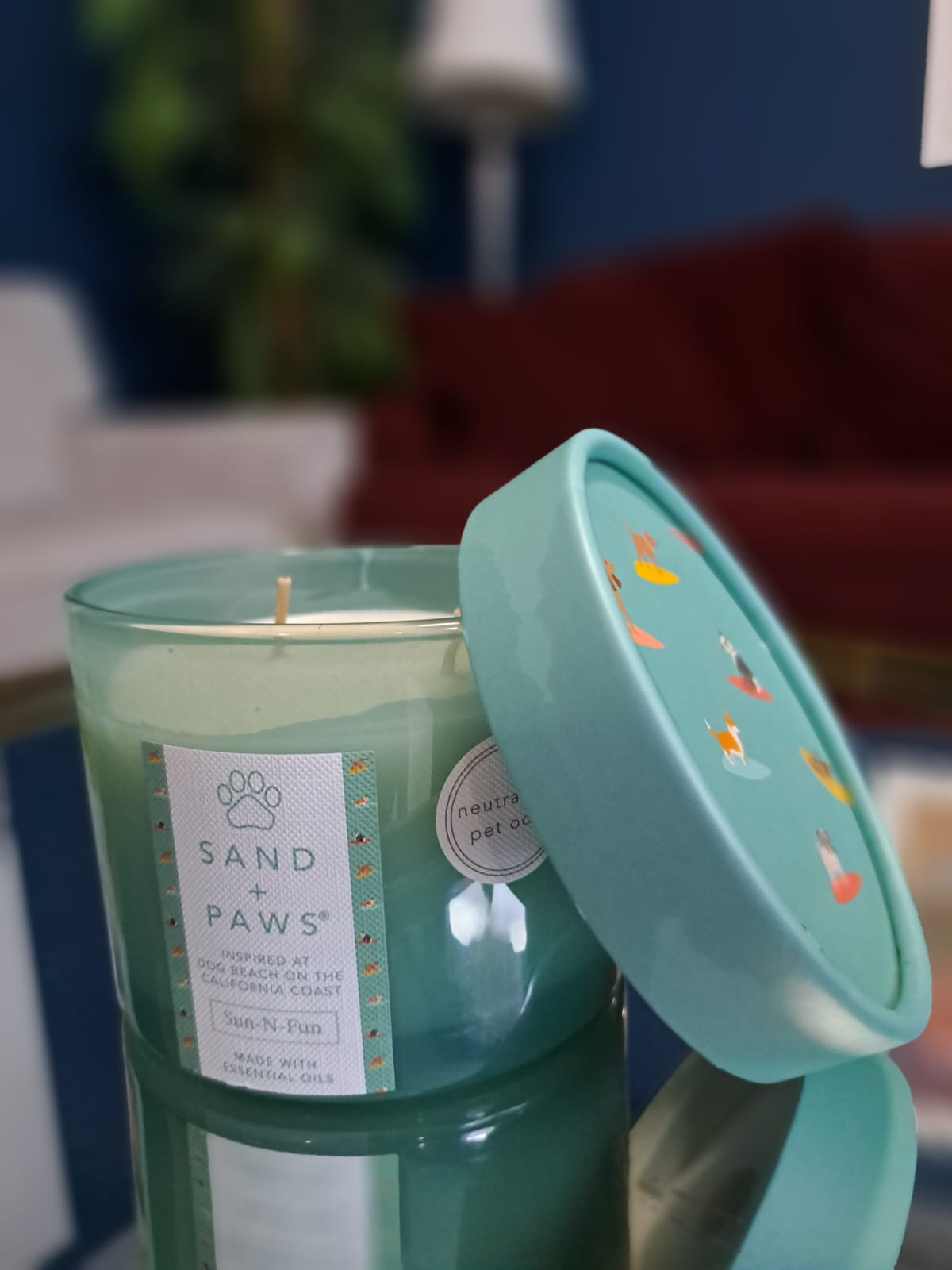 VELA PERFUMADA ANTI-OLORES