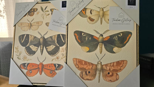 CUADROS CON MARIPOSAS