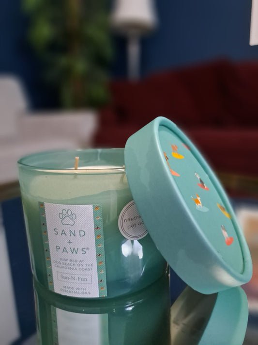 VELA PERFUMADA ANTI-OLORES