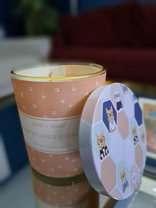 VELA AROMA CITRICO