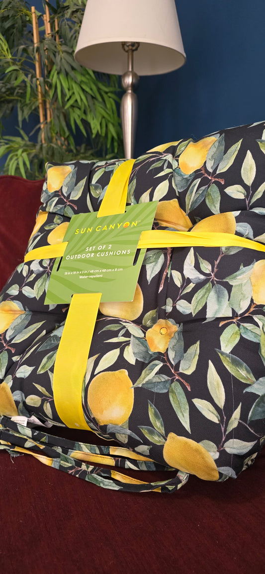 ASIENTO CONFORTABLE DE LIMONES
