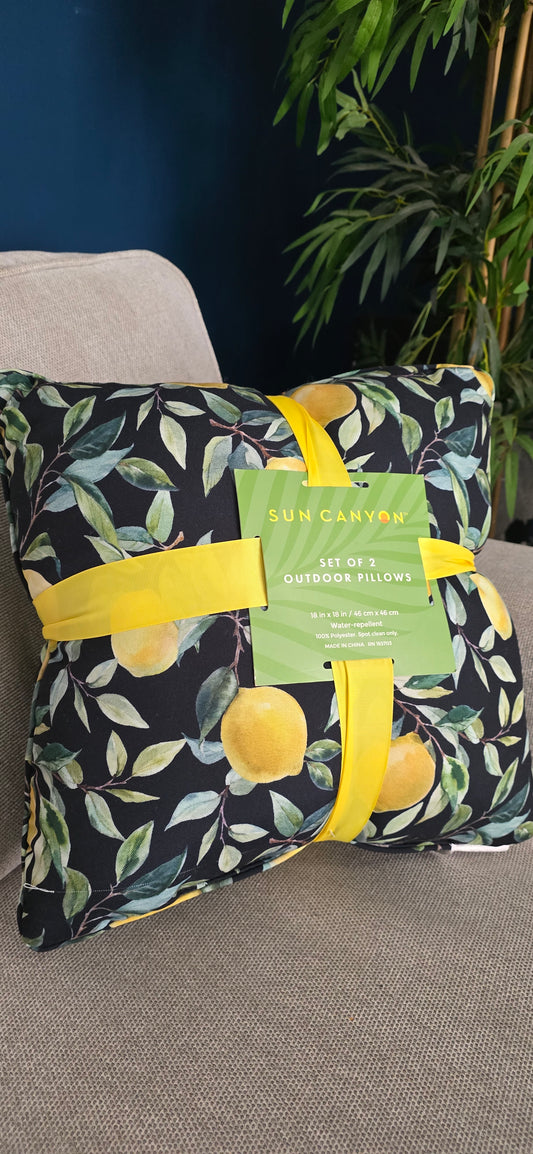 COJINES DE LIMONES